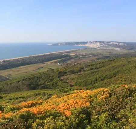 Avo Bolachas 10 Проживание в семье